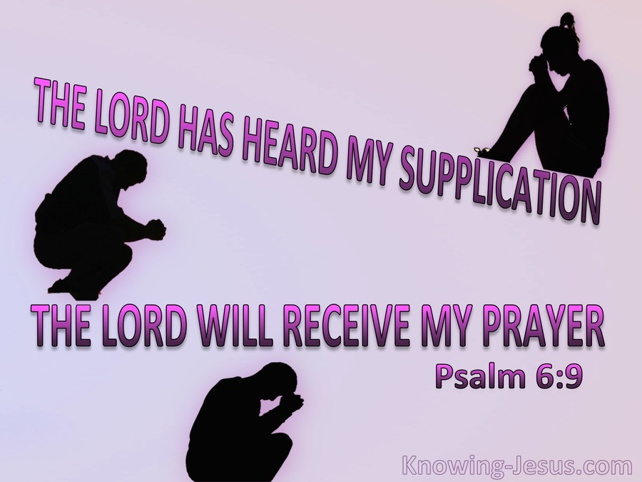 Psalm 6:9 The Lord Has Heard My Supplication (pink)